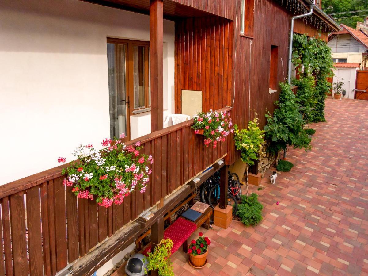 Casa Steluta Aparthotel ซิวิโชอารา ภายนอก รูปภาพ